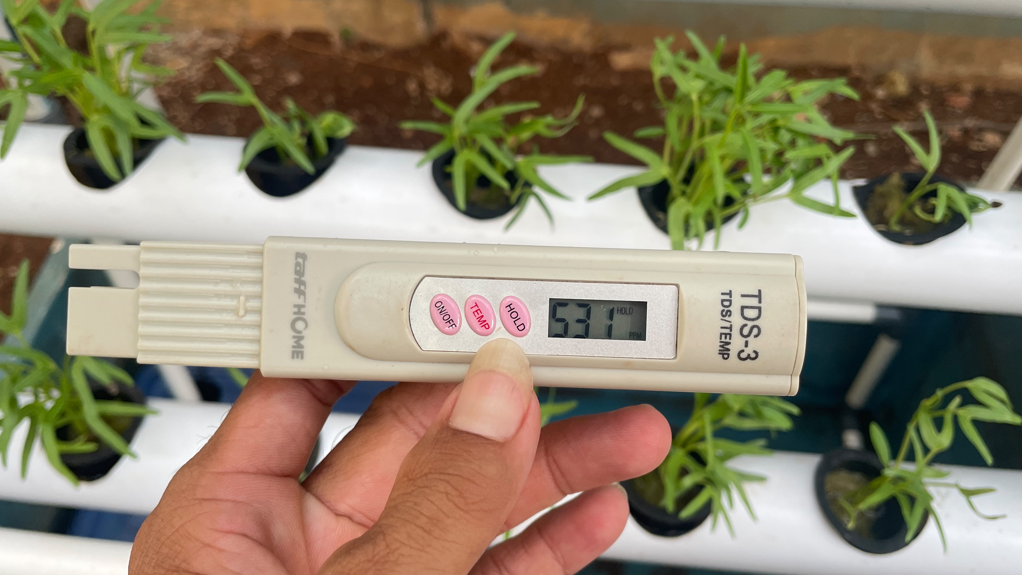 Lahan Urban Farming SLBN 01 Lebak Bulus - Gambar 27