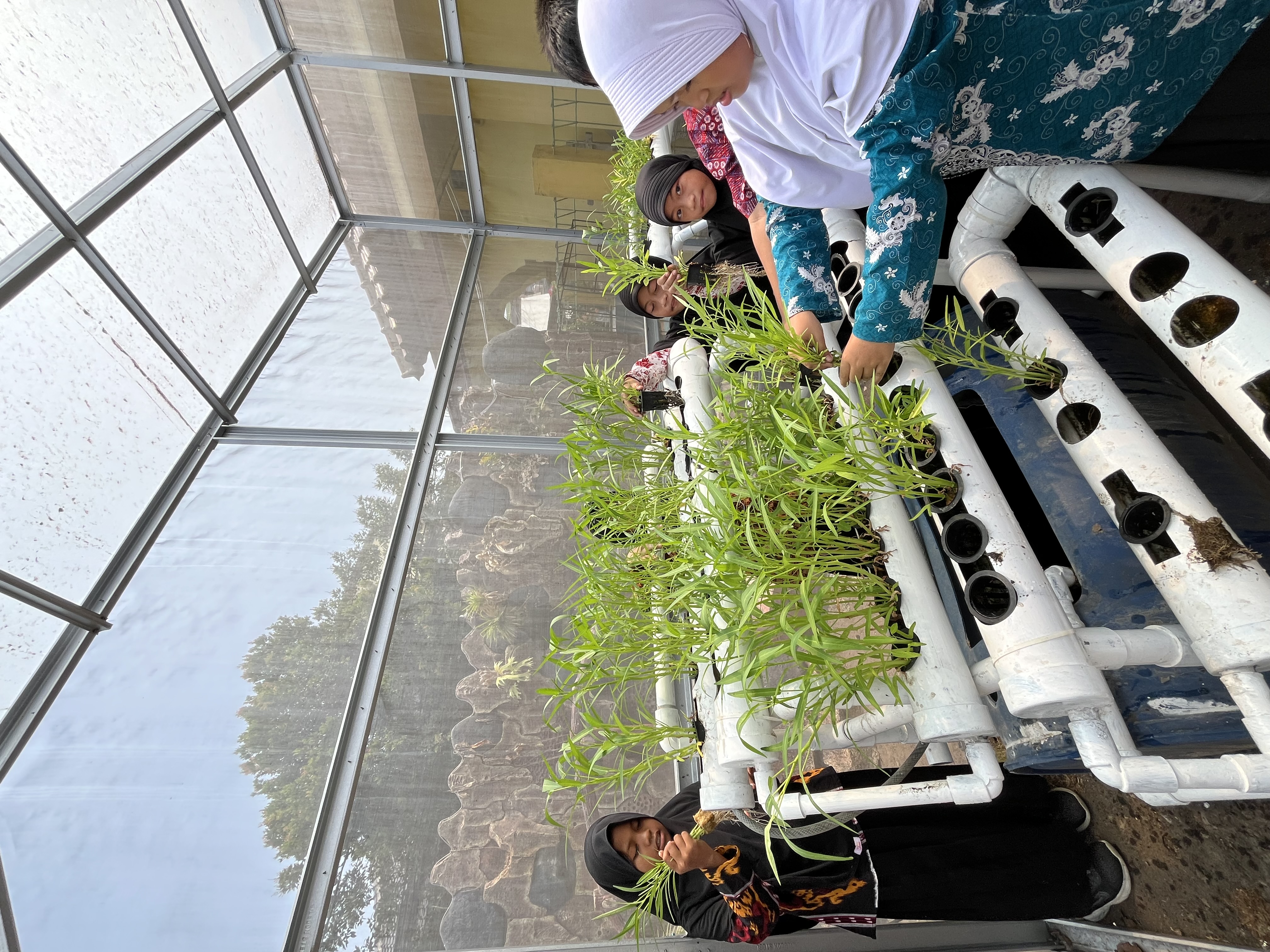 Lahan Urban Farming SDN Cipulir 03 - Gambar 42