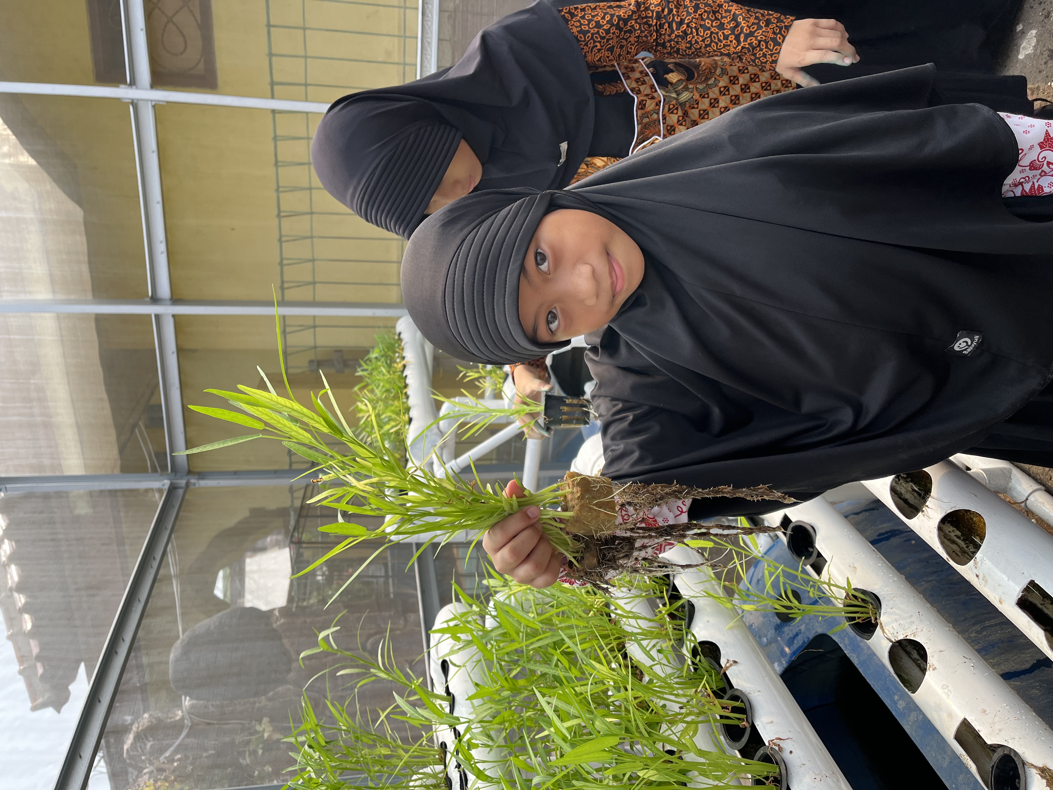 Lahan Urban Farming SDN Cipulir 03 - Gambar 43