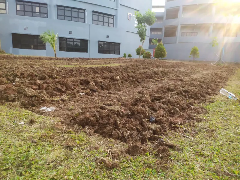 KEBUN SMKN 74 JAGAKARSA JAKARTA SELATAN - Gambar 642
