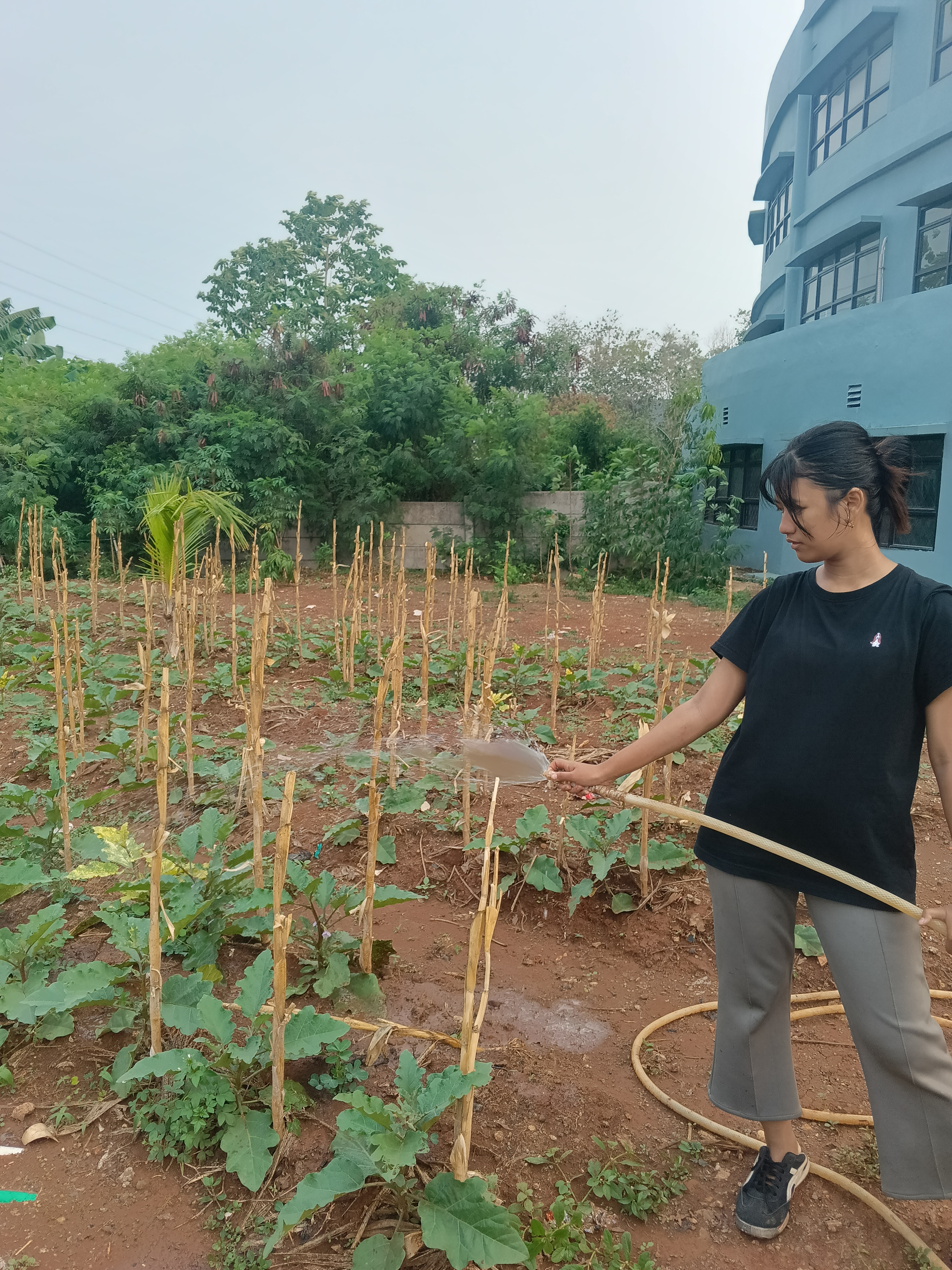 KEBUN SMKN 74 JAGAKARSA JAKARTA SELATAN - Gambar 111