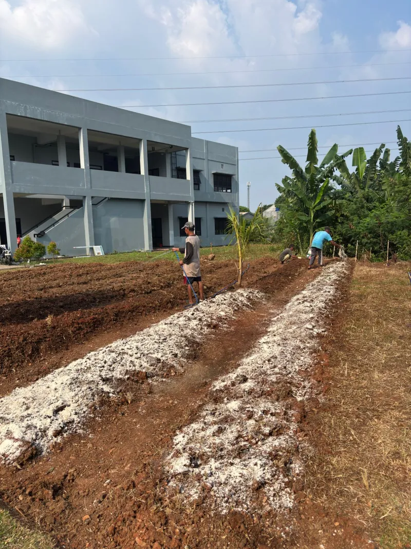 KEBUN SMKN 74 JAGAKARSA JAKARTA SELATAN - Gambar 641