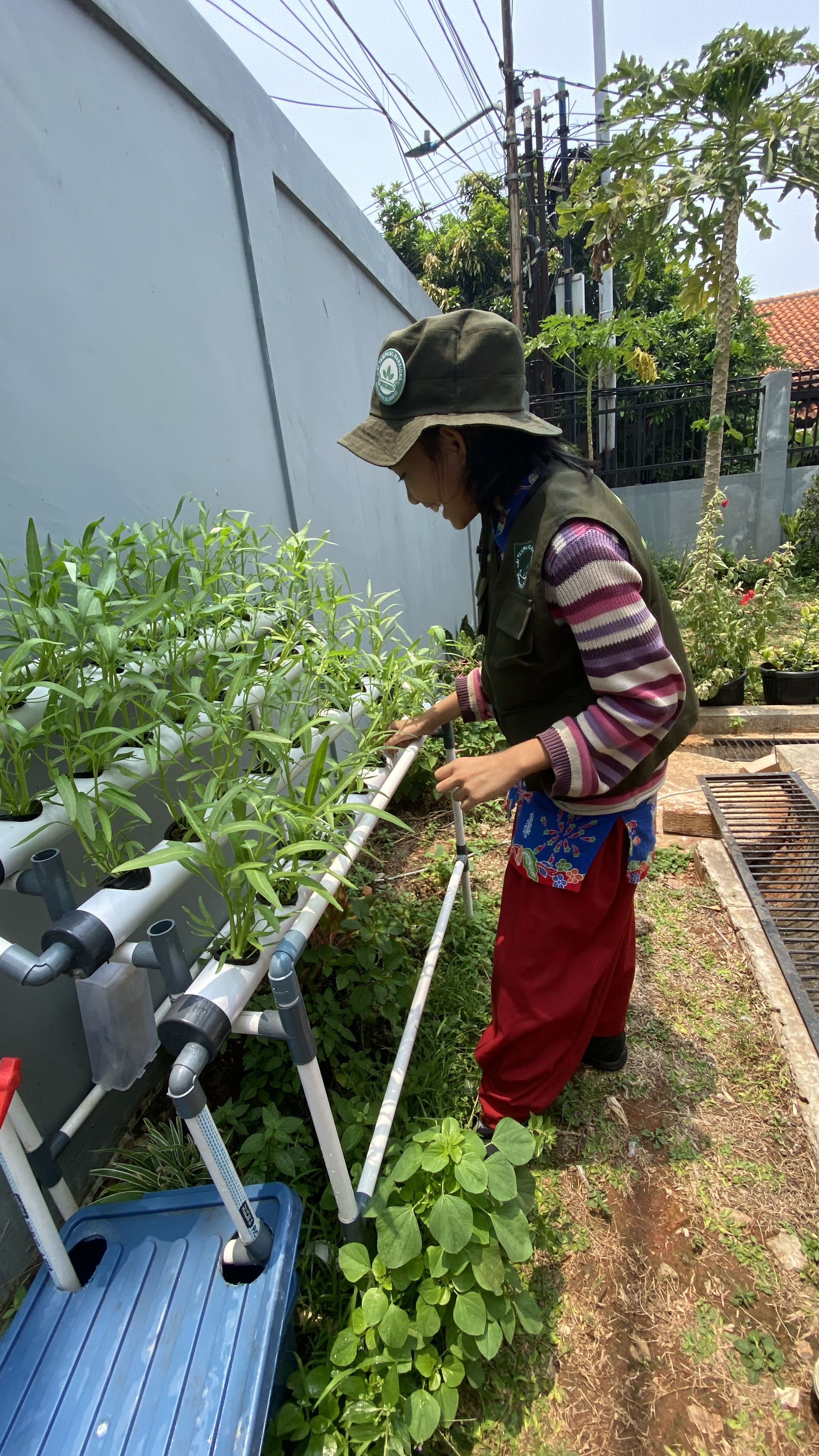 Lahan Urban Farming SDN Cipete Selatan 03 - Gambar 27