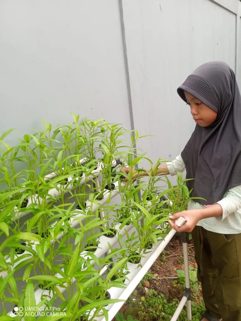 Lahan Urban Farming SDN Cipete Selatan 03 - Gambar 22