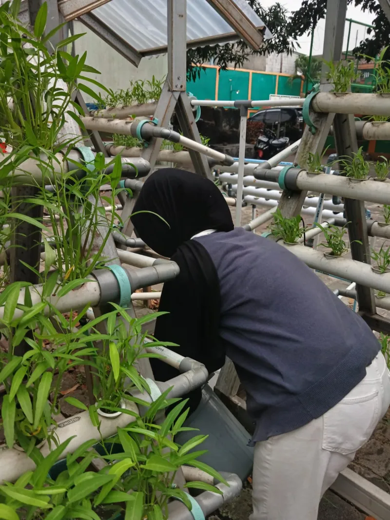 Lahan Urban Farming SMKN 59 Jakarta - Gambar 90