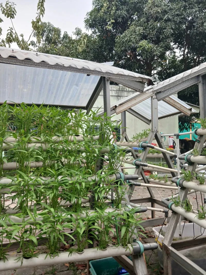 Lahan Urban Farming SMKN 59 Jakarta - Gambar 88