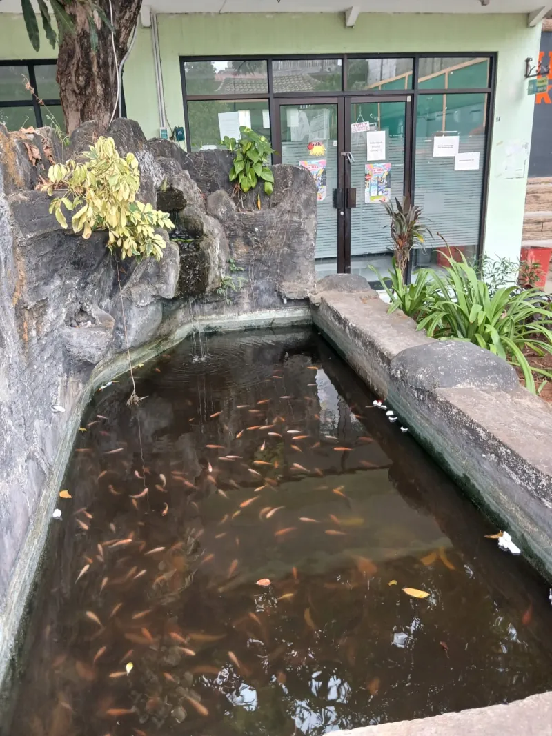 Lahan Urban Farming SMKN 59 Jakarta - Gambar 89