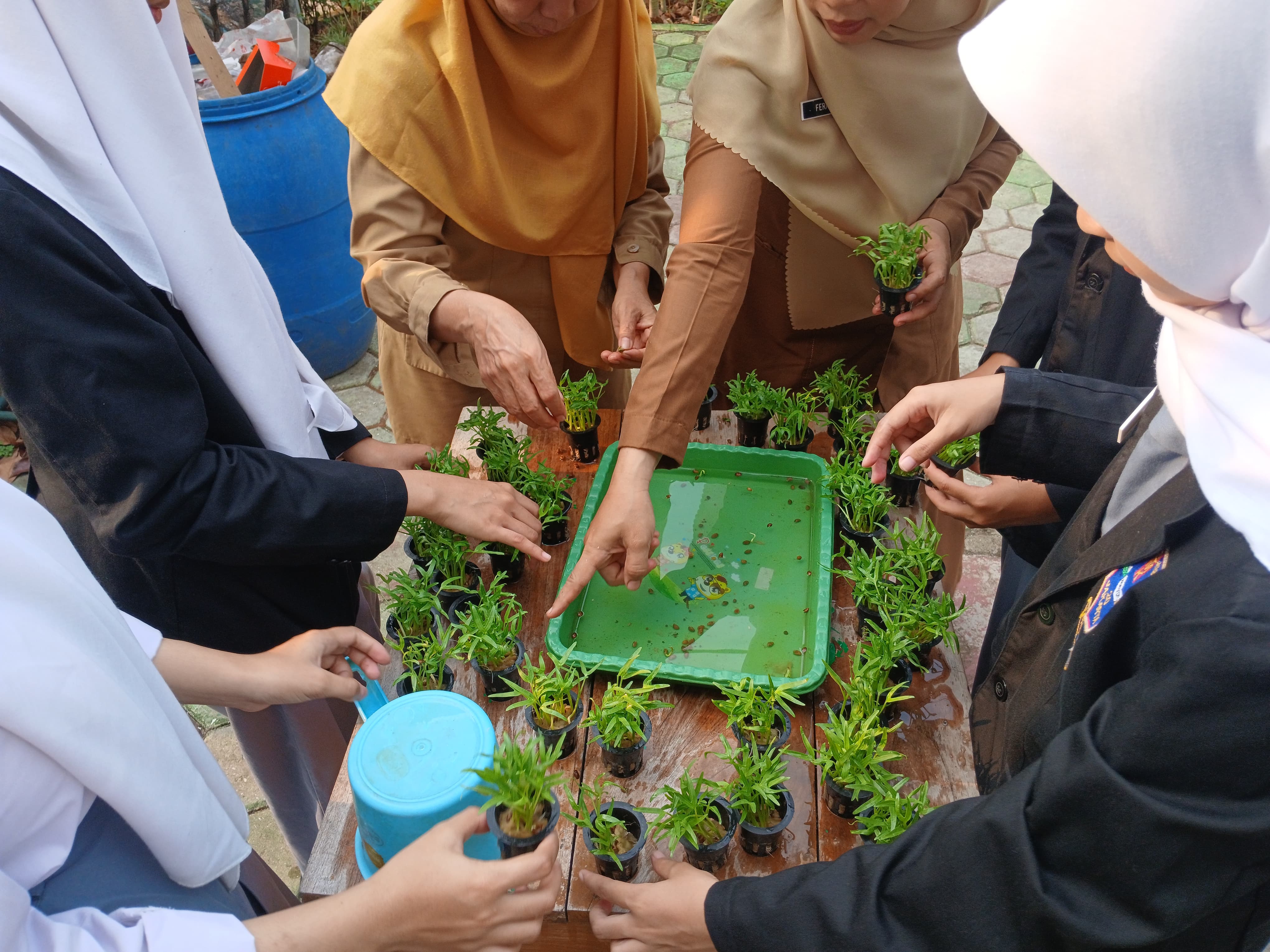 Lahan Urban Farming SMKN 20 Jakarta - Gambar 40