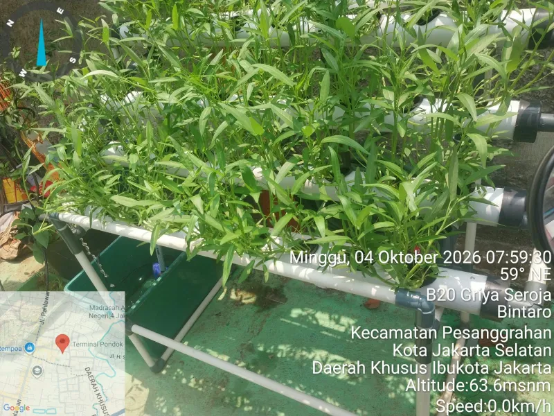 Lahan Urban Farming SDN Bintaro 09 - Gambar 50