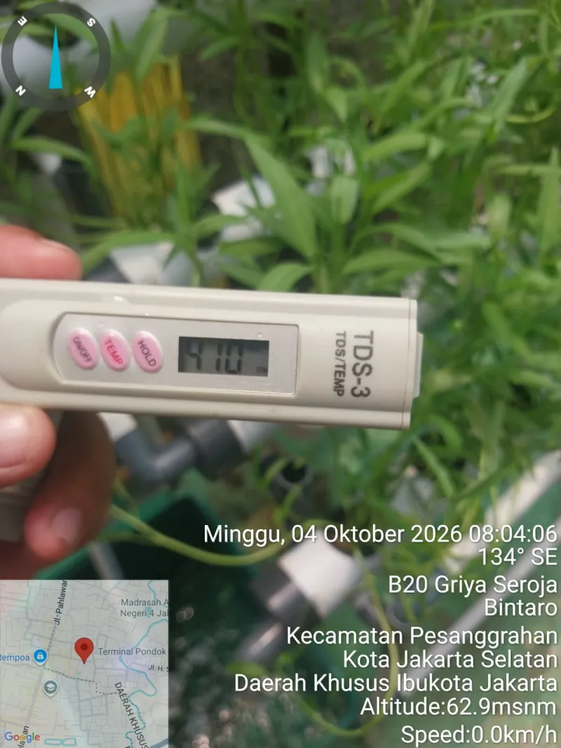 Lahan Urban Farming SDN Bintaro 09 - Gambar 51