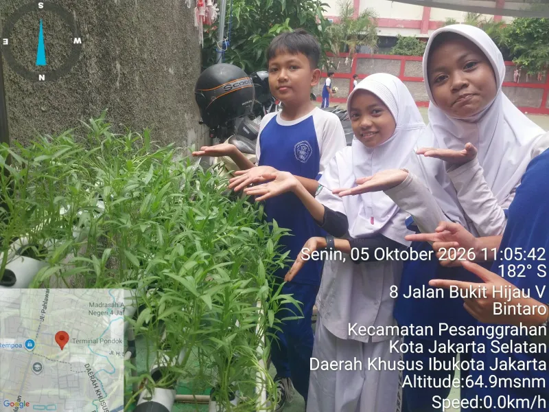 Lahan Urban Farming SDN Bintaro 09 - Gambar 48