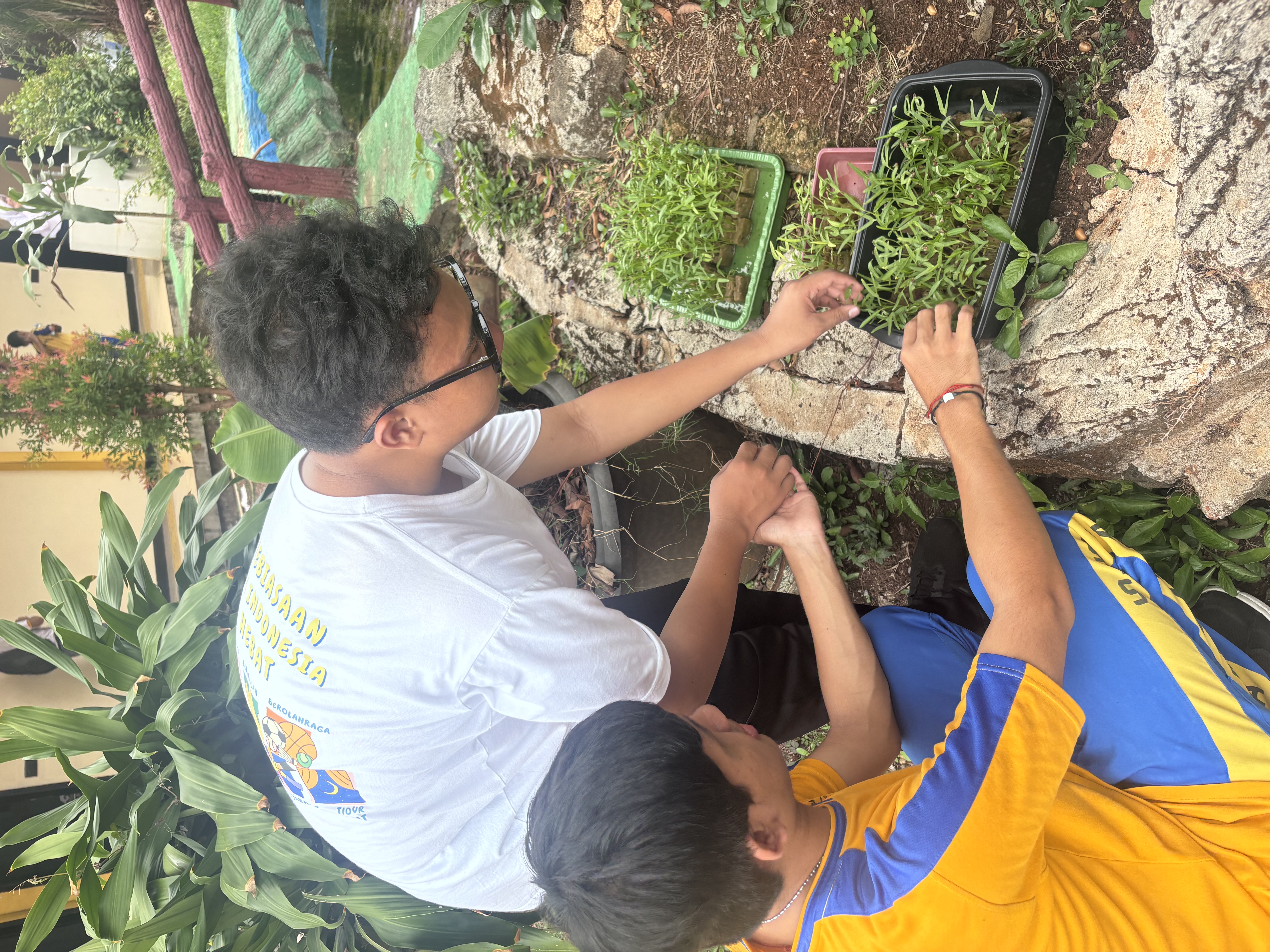 Lahan Urban Farming SLB A Pembina Tingkat Nasional - Gambar 41