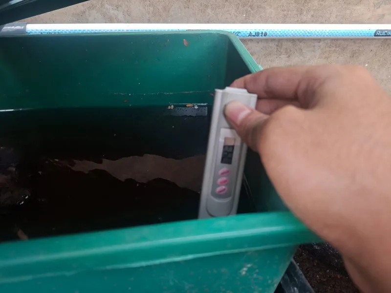 Lahan Urban Farming SMAN 63 Jakarta - Gambar 26