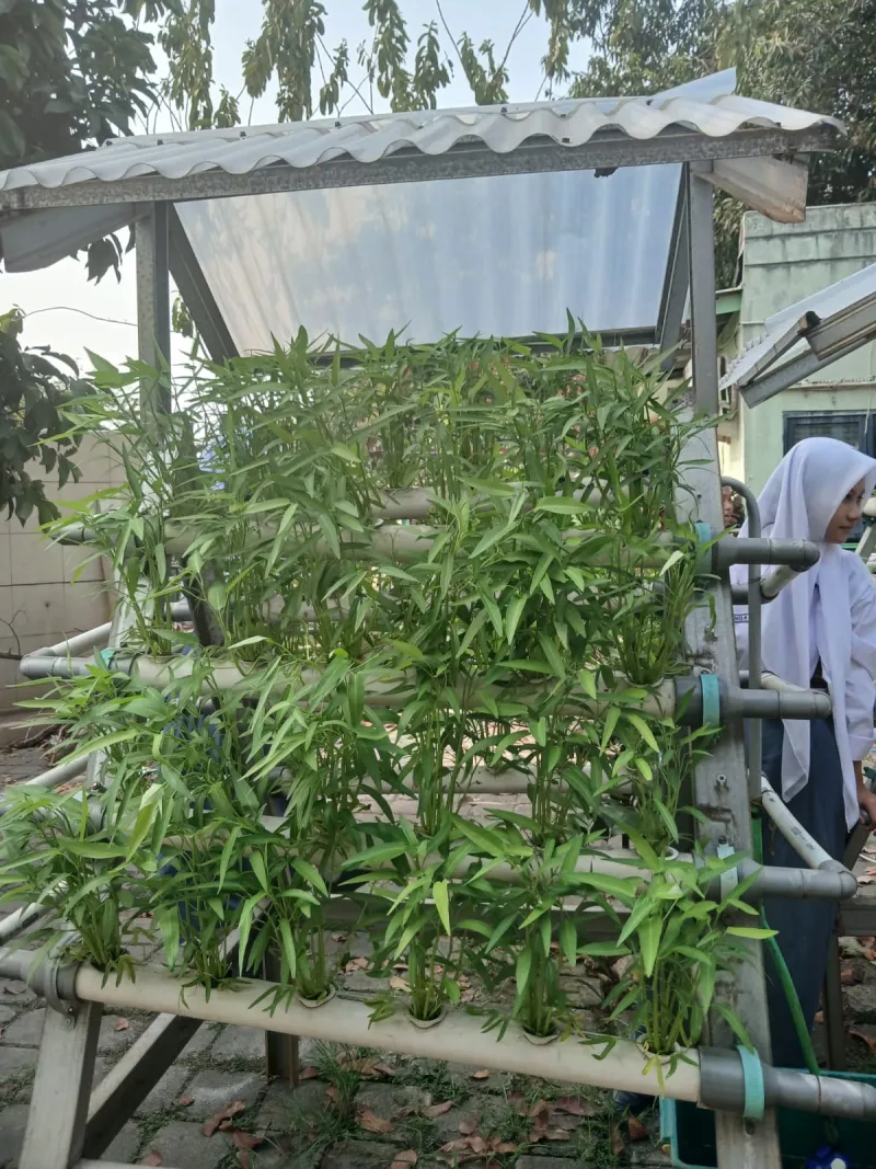 Lahan Urban Farming SMKN 59 Jakarta - Gambar 86