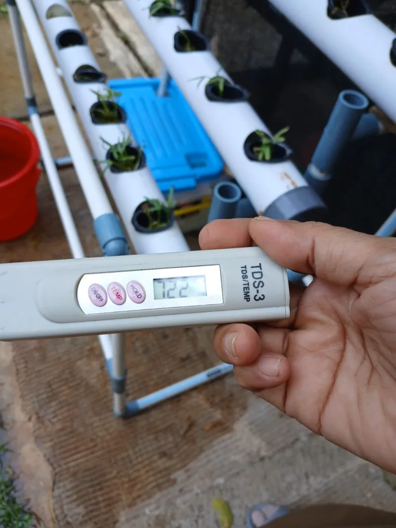 Lahan Urban Farming SMAN 109 Jakarta - Gambar 84