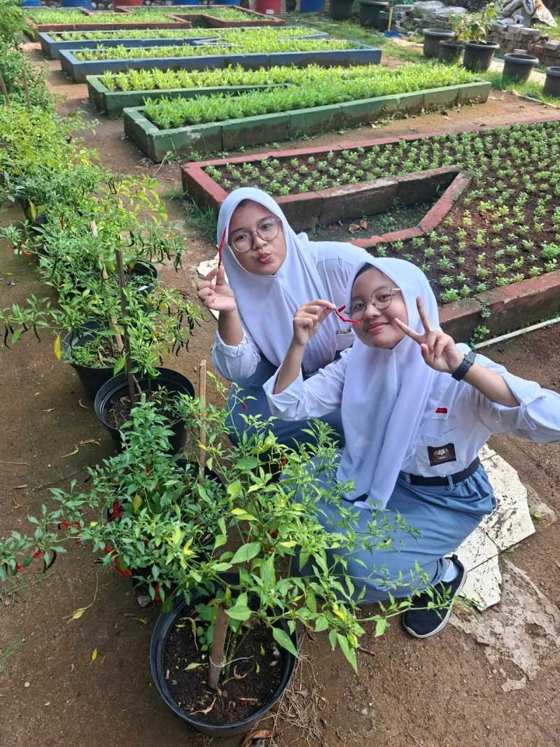 Lahan Urban Farming SMAN 109 Jakarta - Gambar 77