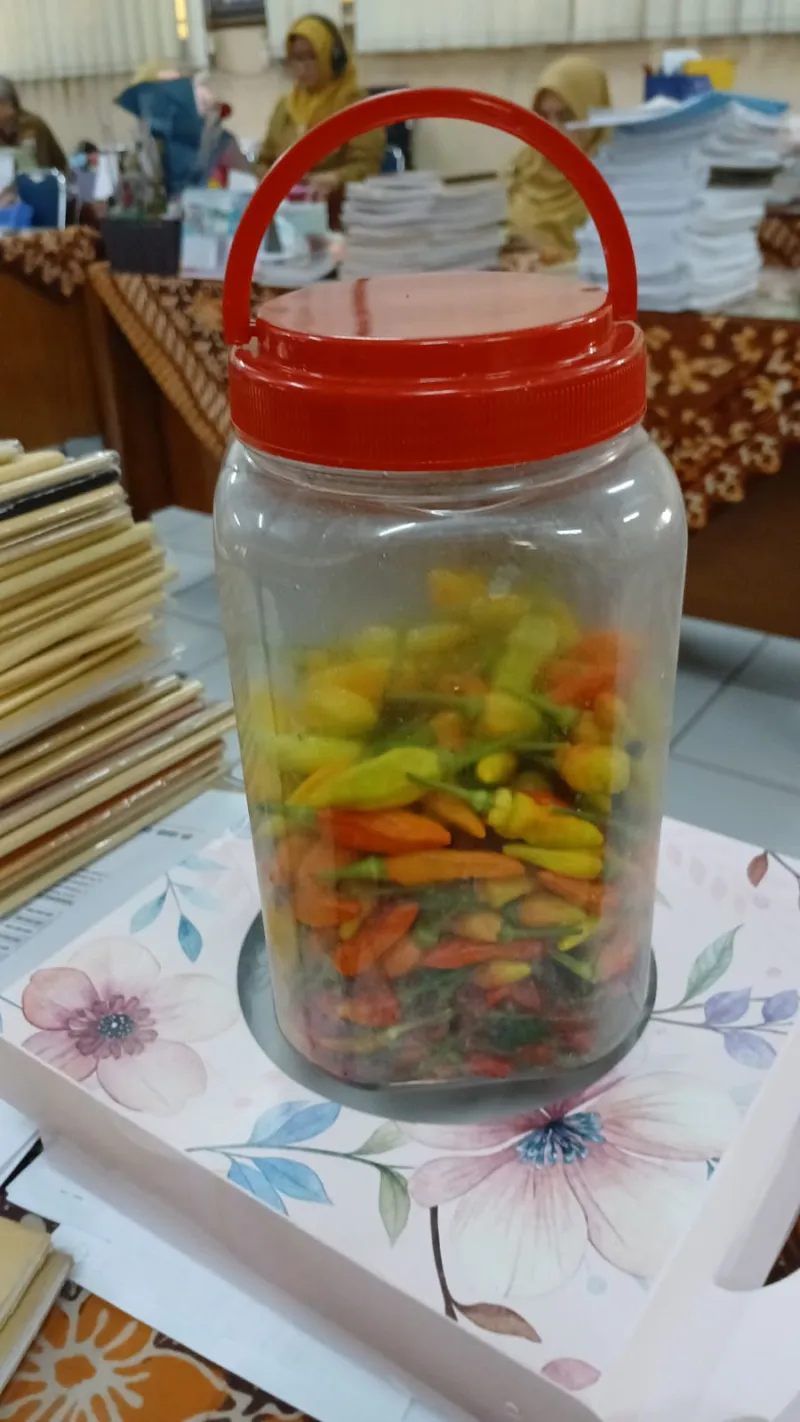 Lahan Urban Farming SMAN 109 Jakarta - Gambar 78