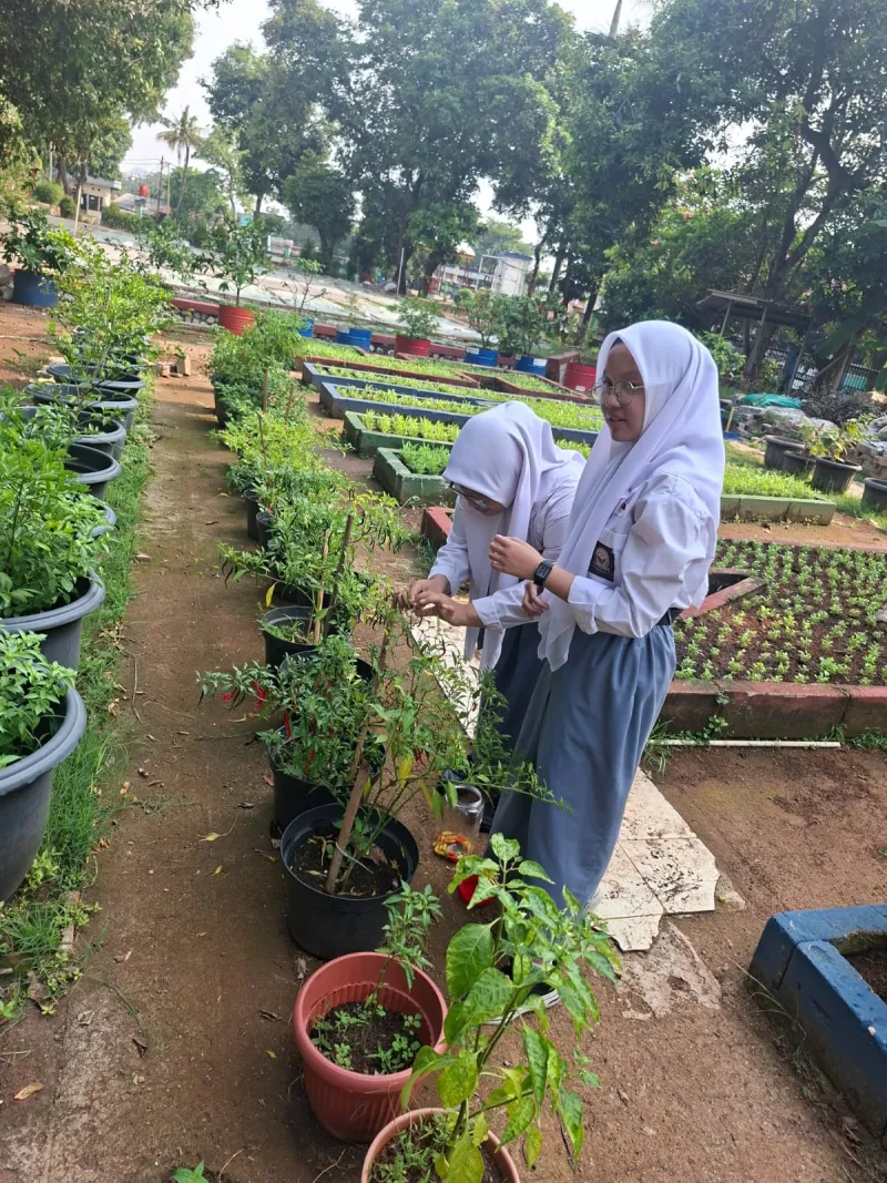 Lahan Urban Farming SMAN 109 Jakarta - Gambar 75