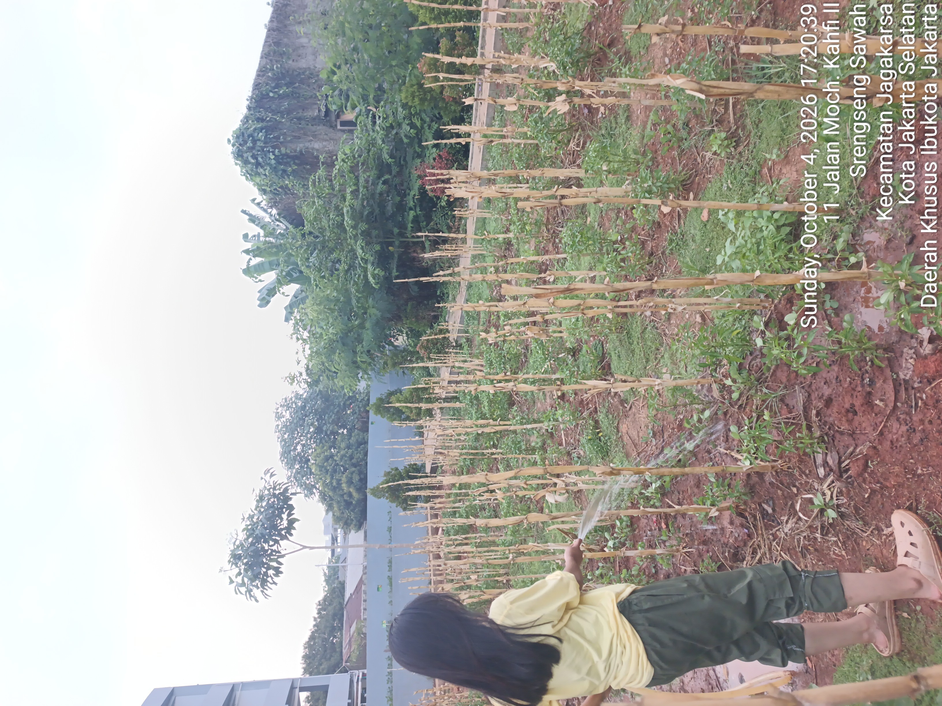 KEBUN SMKN 74 JAGAKARSA JAKARTA SELATAN - Gambar 104