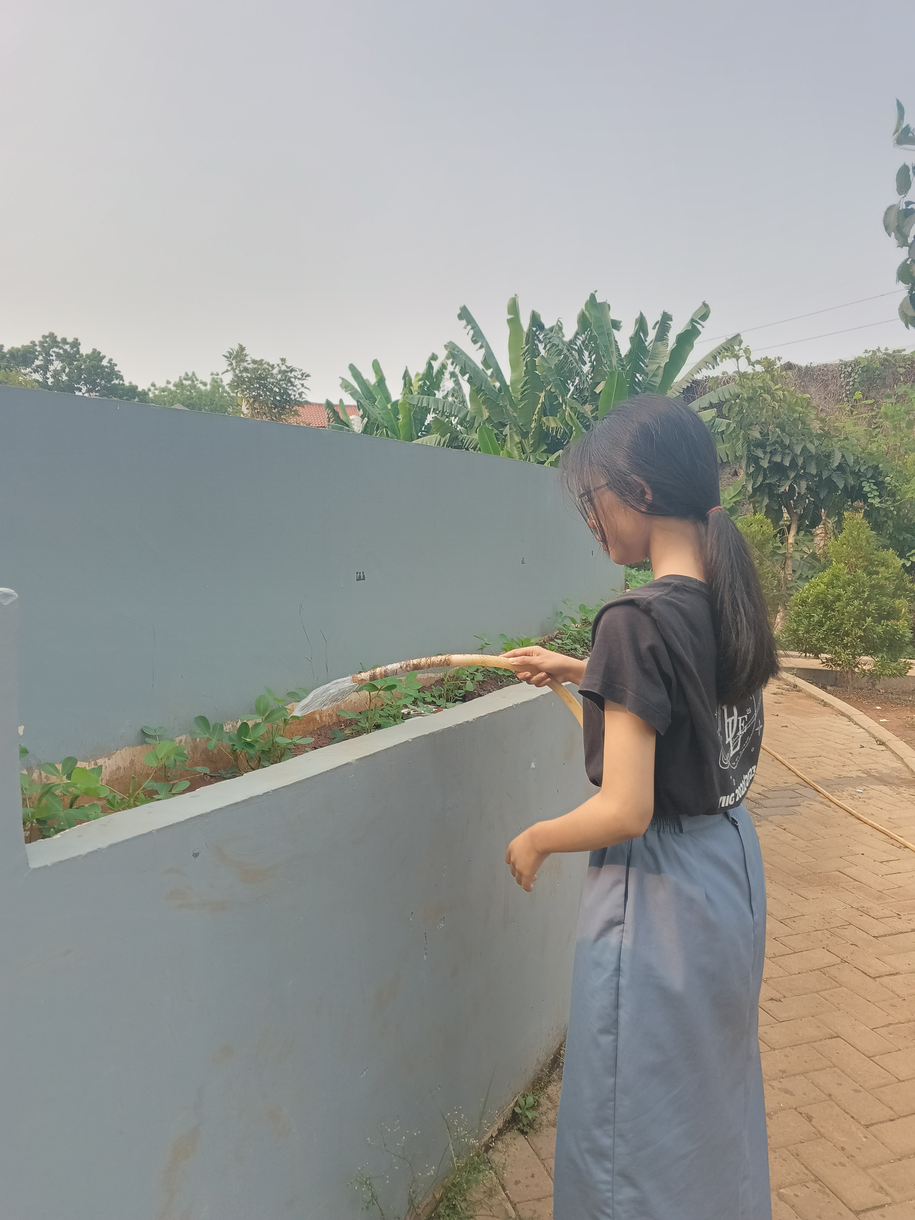 KEBUN SMKN 74 JAGAKARSA JAKARTA SELATAN - Gambar 94