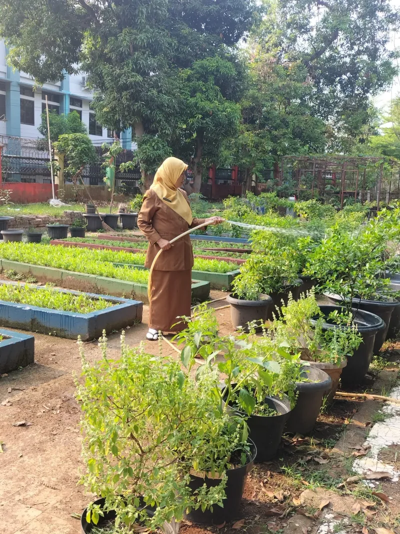 Lahan Urban Farming SMAN 109 Jakarta - Gambar 74