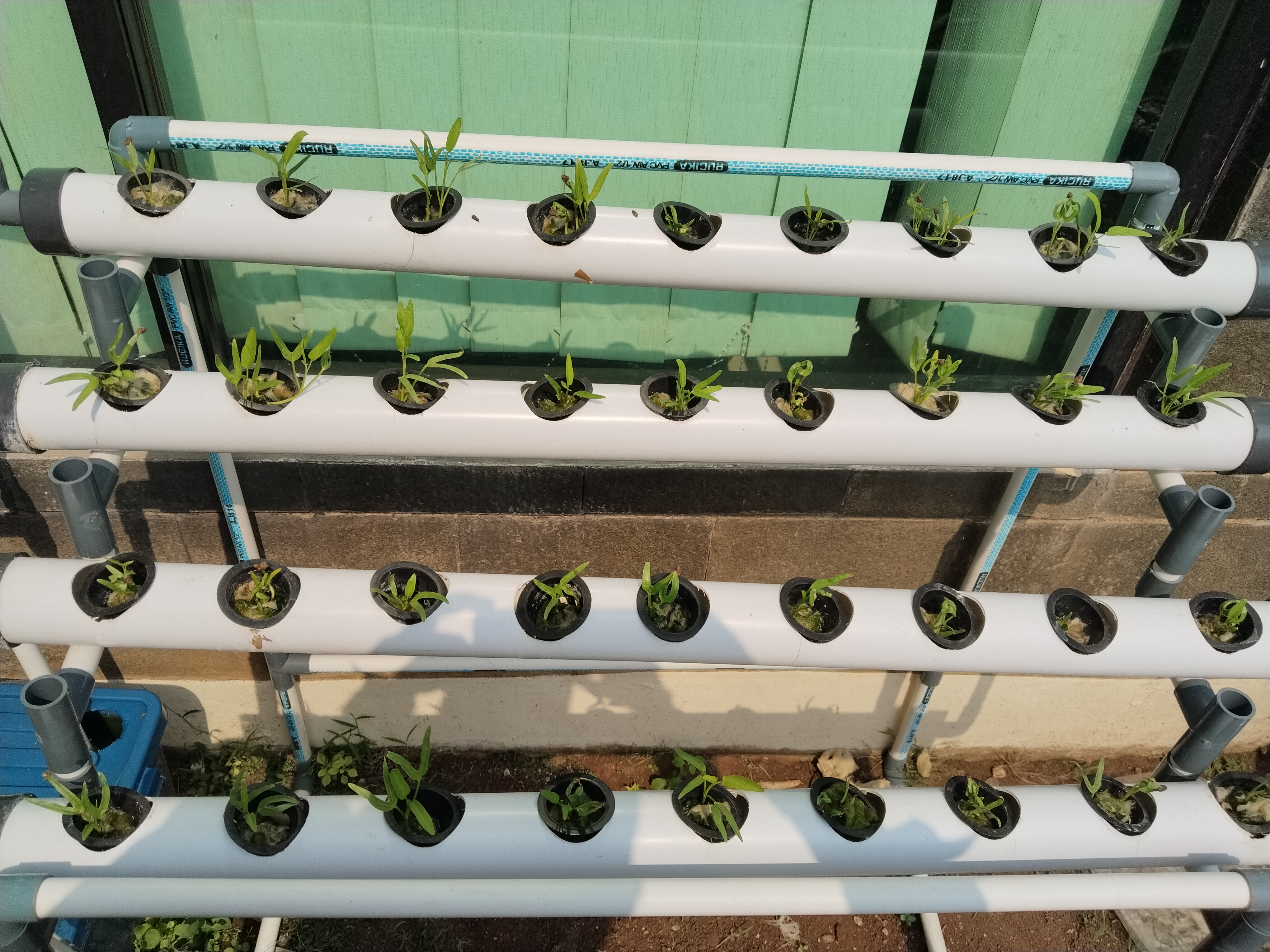 Lahan Urban Farming SMKN 62 Jakarta - Gambar 31