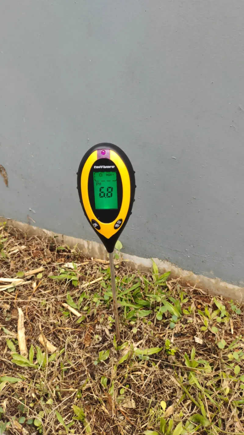 KEBUN SMKN 74 JAGAKARSA JAKARTA SELATAN - Gambar 636