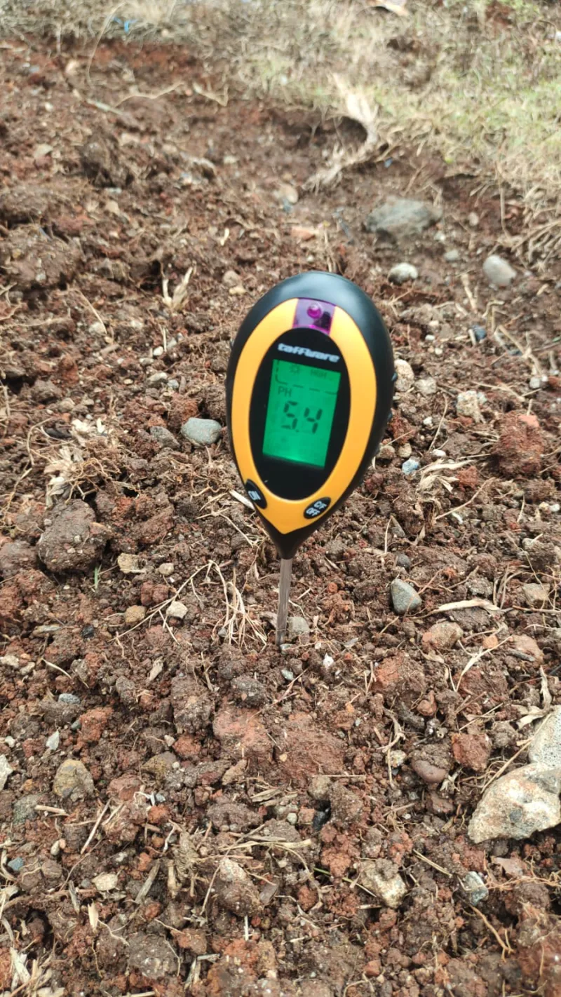 KEBUN SMKN 74 JAGAKARSA JAKARTA SELATAN - Gambar 637