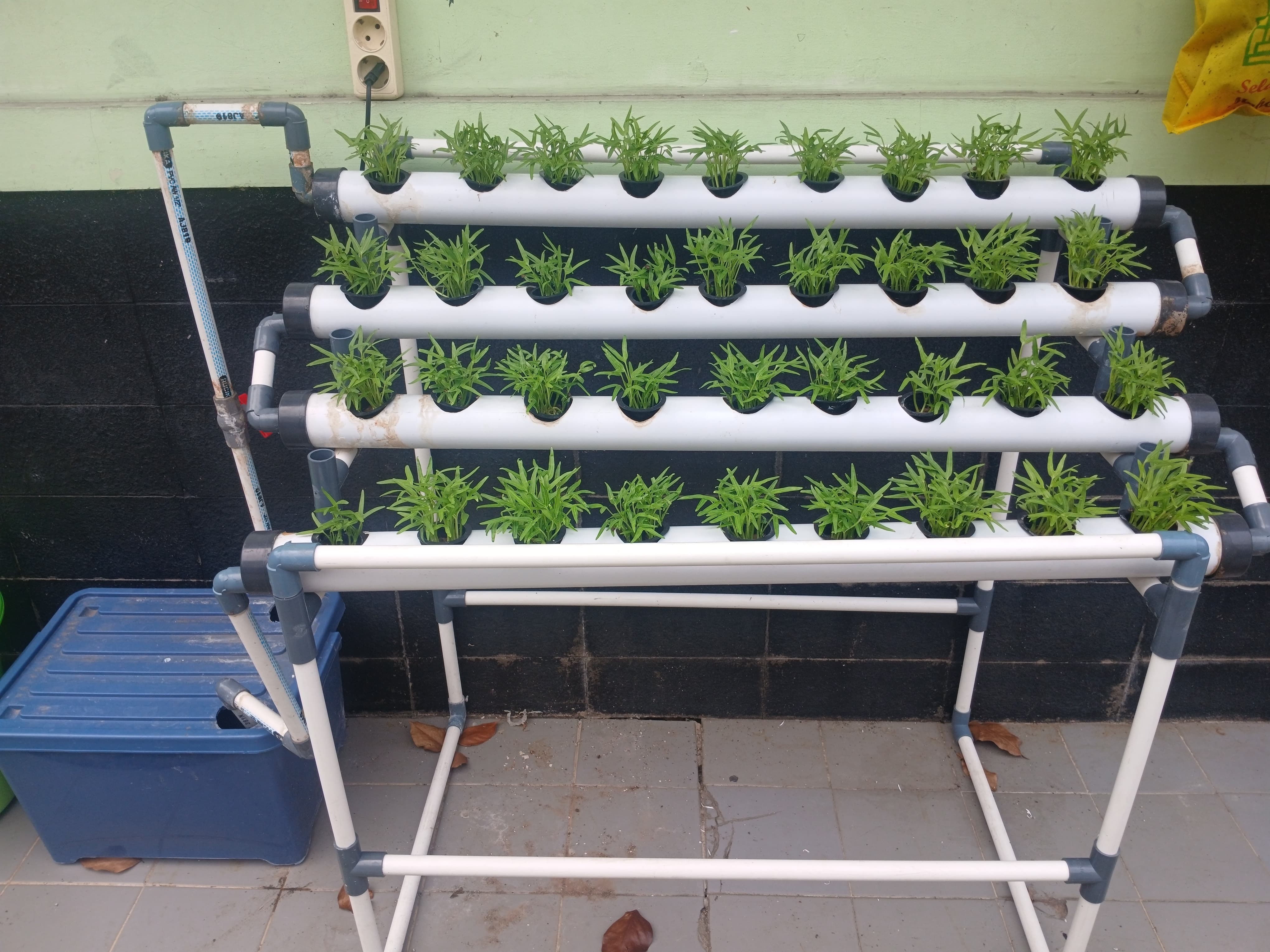 Lahan Urban Farming SMKN 20 Jakarta - Gambar 38