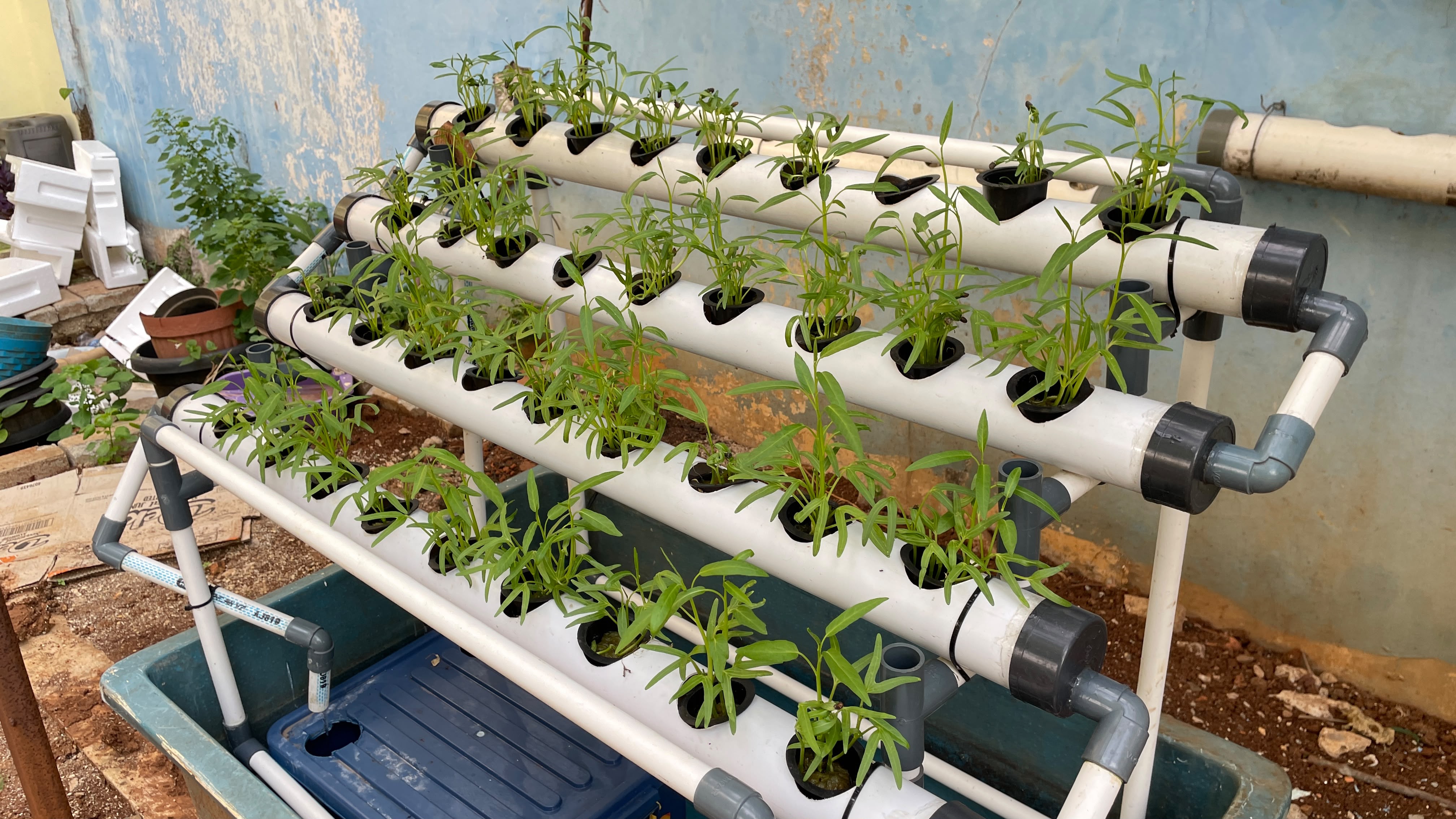 Lahan Urban Farming SLBN 01 Lebak Bulus - Gambar 23