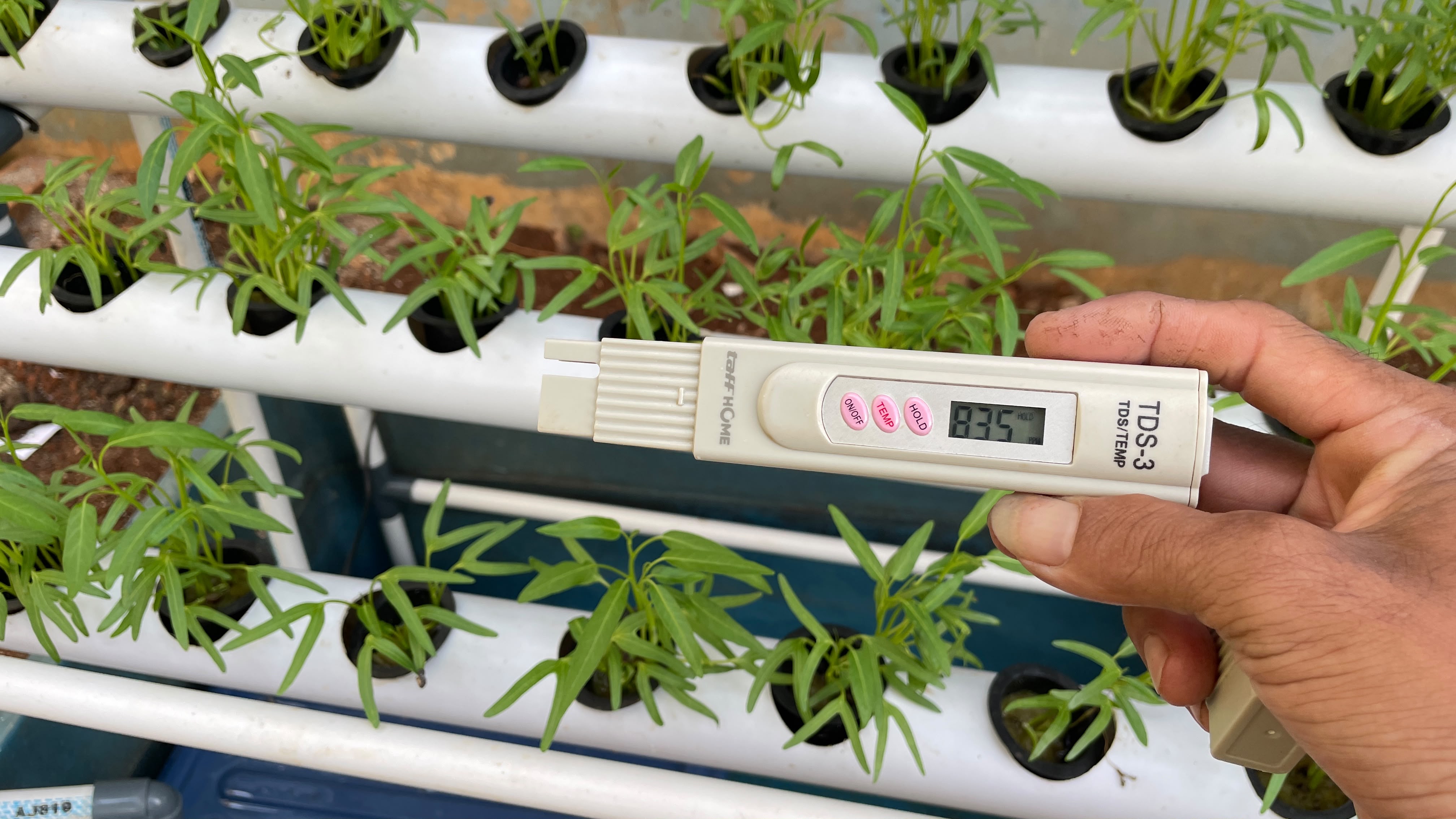 Lahan Urban Farming SLBN 01 Lebak Bulus - Gambar 24