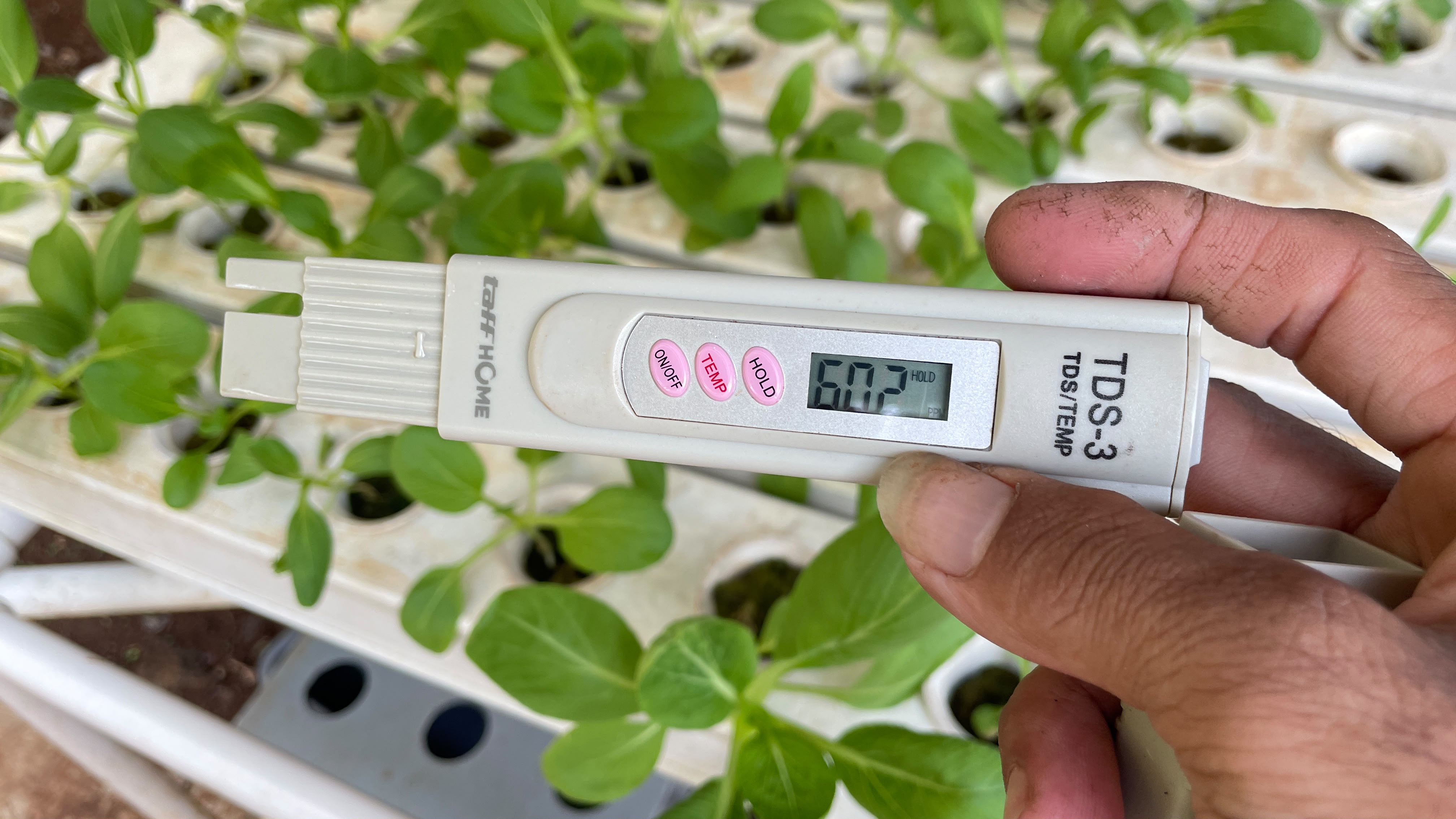 Lahan Urban Farming SLBN 01 Lebak Bulus - Gambar 21