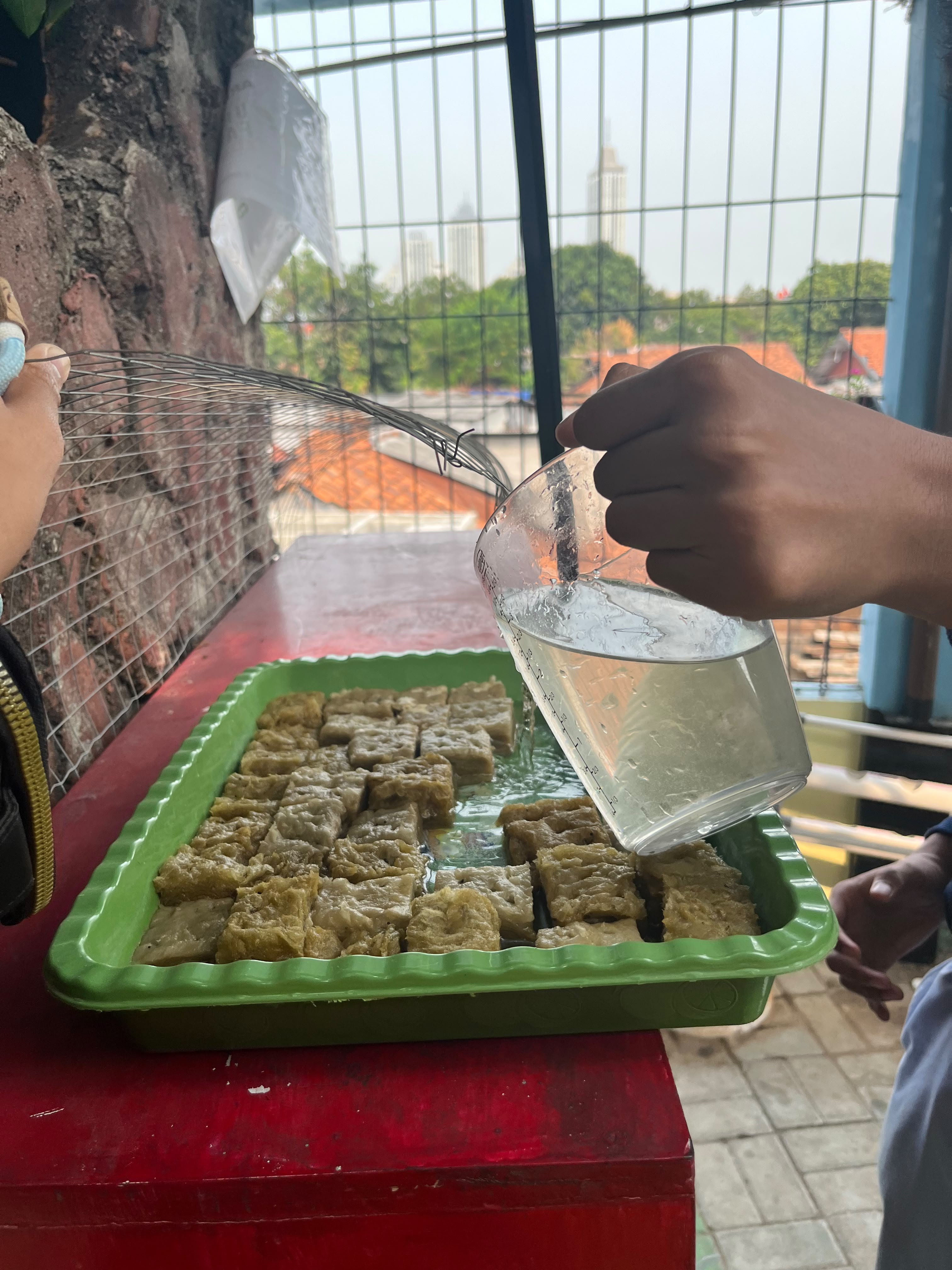 Lahan Urban Farming SMKN 43 Jakarta - Gambar 65
