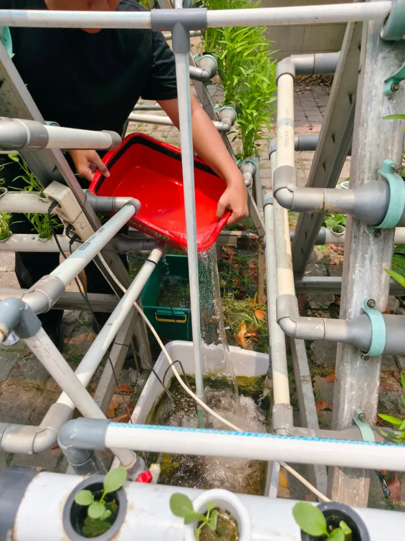 Lahan Urban Farming SMKN 59 Jakarta - Gambar 82
