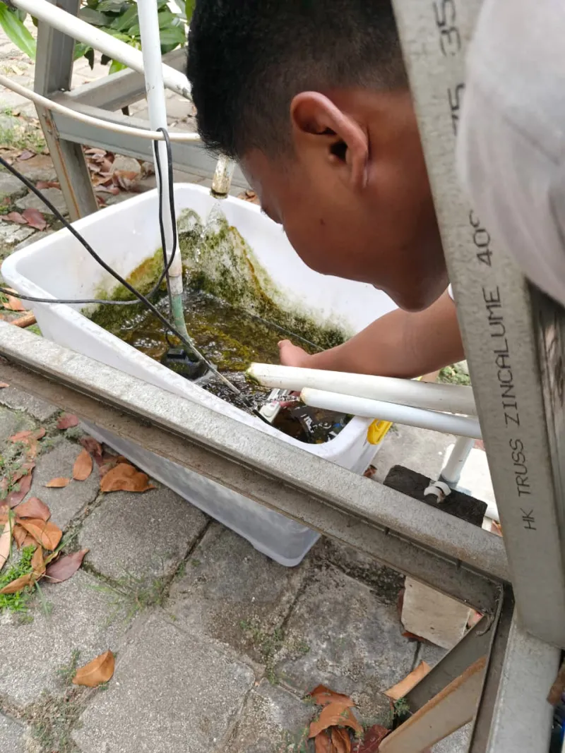 Lahan Urban Farming SMKN 59 Jakarta - Gambar 84