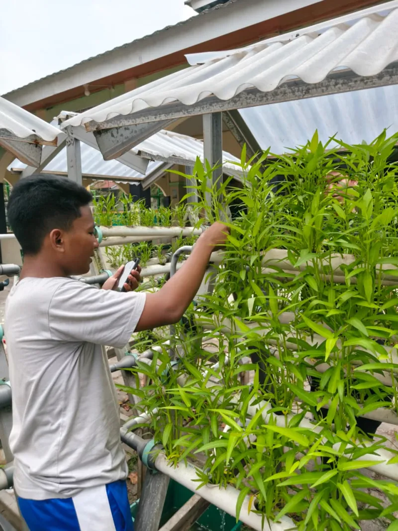 Lahan Urban Farming SMKN 59 Jakarta - Gambar 79