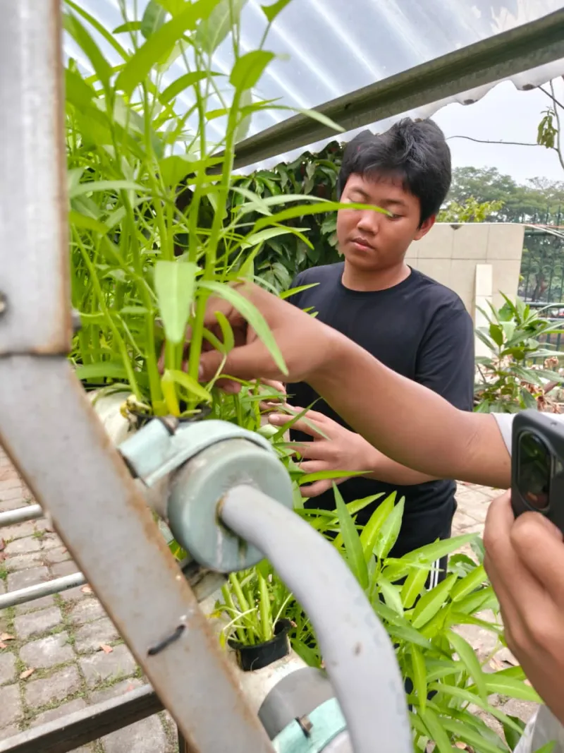 Lahan Urban Farming SMKN 59 Jakarta - Gambar 78