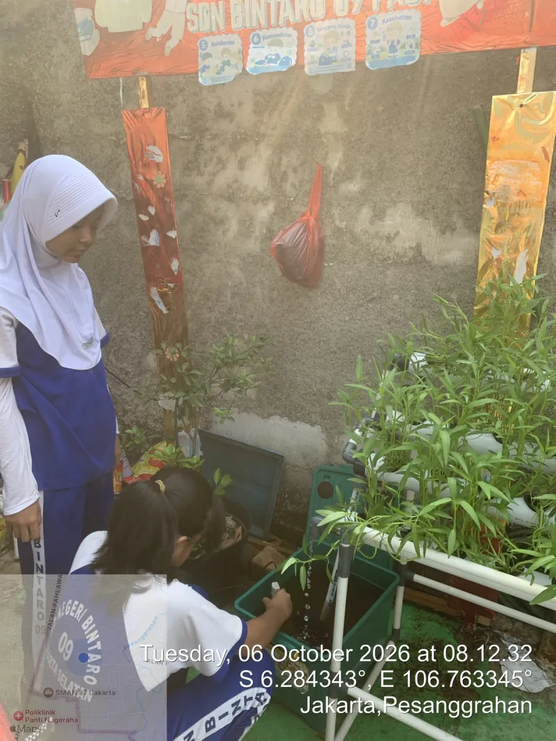 Lahan Urban Farming SDN Bintaro 09 - Gambar 43