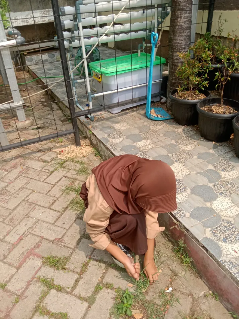 Lahan Urban Farming SDN Lenteng Agung 07 Jakarta - Gambar 26