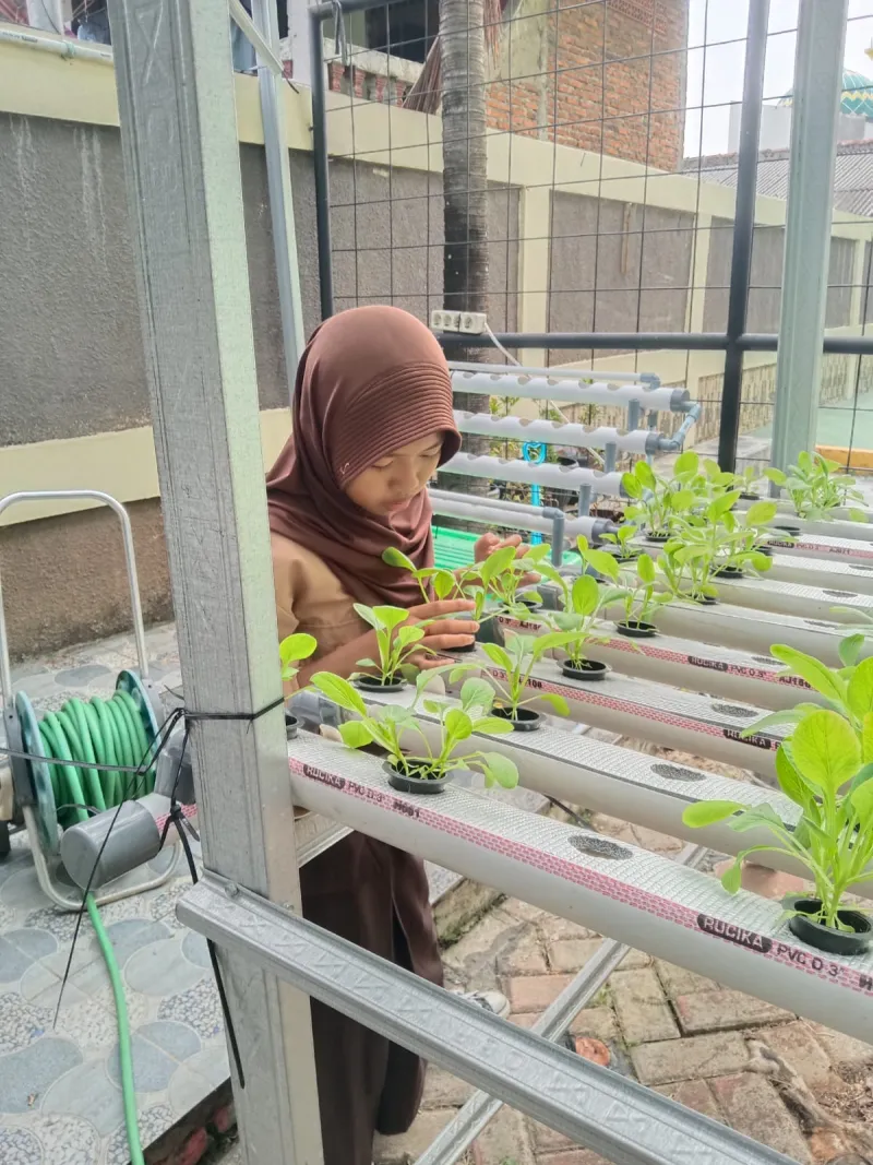 Lahan Urban Farming SDN Lenteng Agung 07 Jakarta - Gambar 24