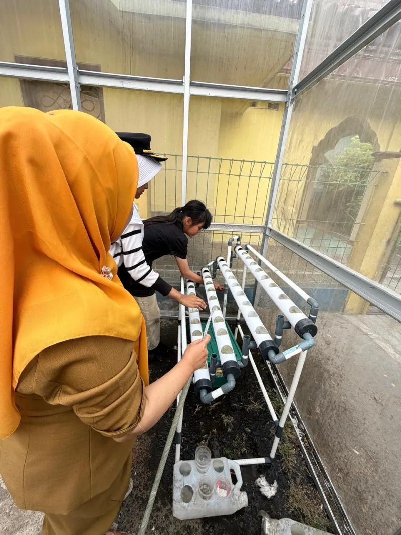 Lahan Urban Farming SDN Cipulir 03 - Gambar 37
