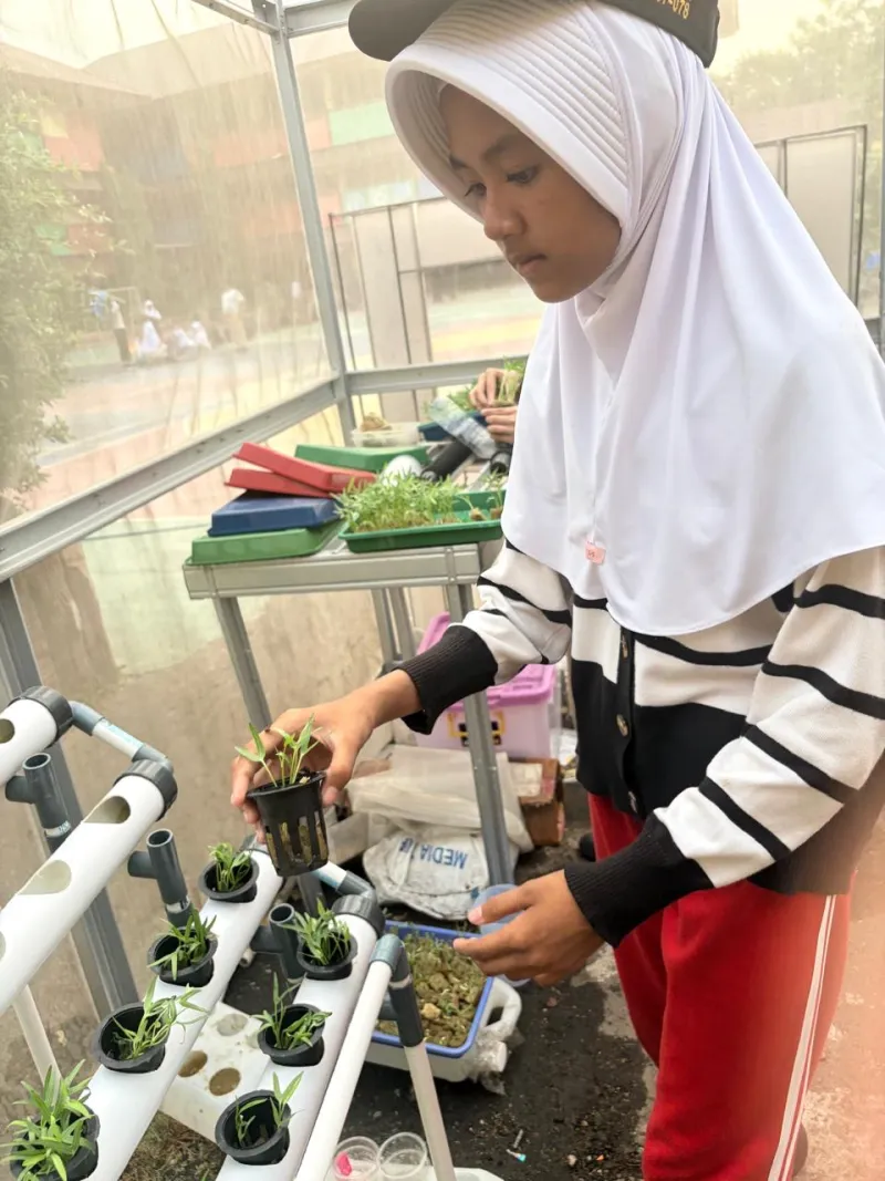 Lahan Urban Farming SDN Cipulir 03 - Gambar 35