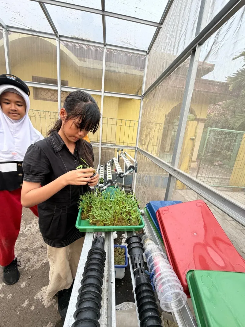 Lahan Urban Farming SDN Cipulir 03 - Gambar 34
