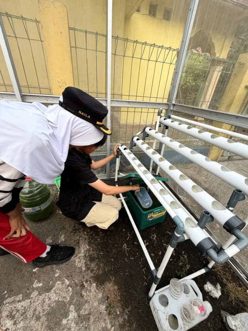Lahan Urban Farming SDN Cipulir 03 - Gambar 36