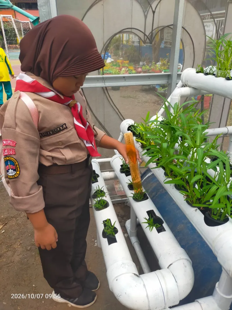 Lahan Urban Farming SDN Cipulir 03 - Gambar 27