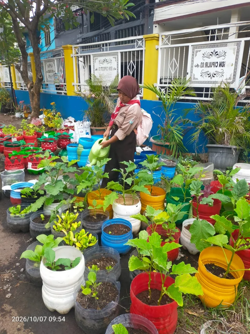 Lahan Urban Farming SDN Cipulir 03 - Gambar 29