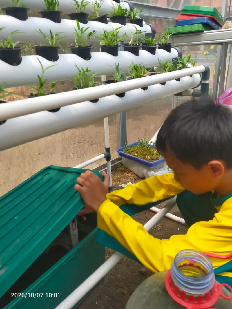 Lahan Urban Farming SDN Cipulir 03 - Gambar 32
