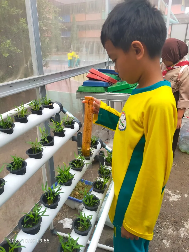 Lahan Urban Farming SDN Cipulir 03 - Gambar 30