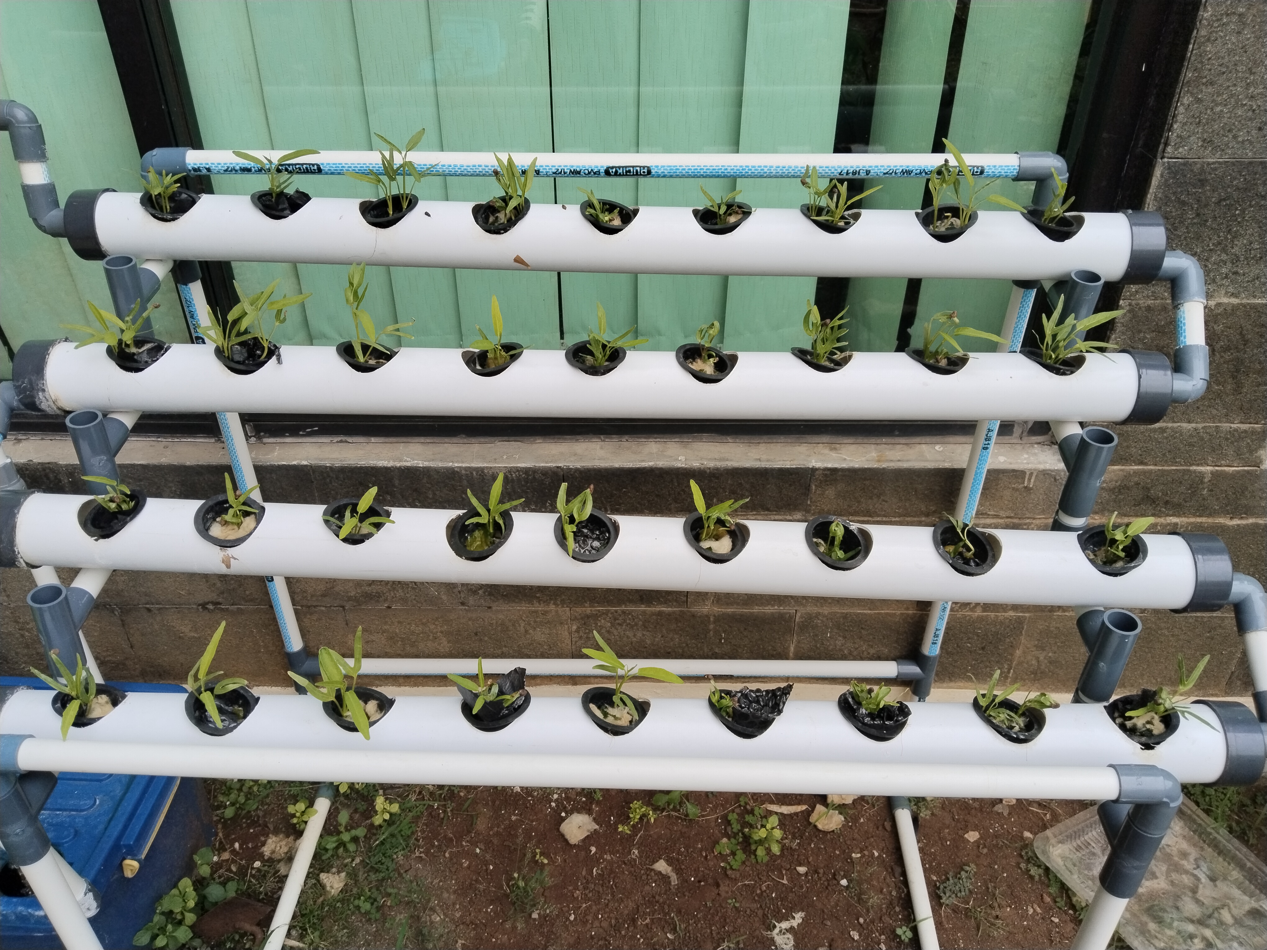 Lahan Urban Farming SMKN 62 Jakarta - Gambar 30