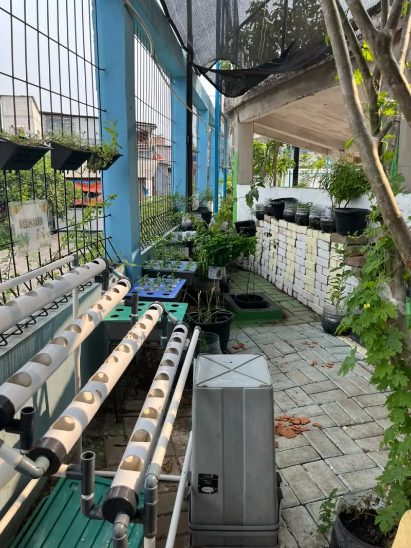 Lahan Urban Farming SMKN 43 Jakarta - Gambar 62